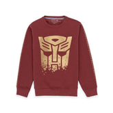 printed sweatshirt for boys